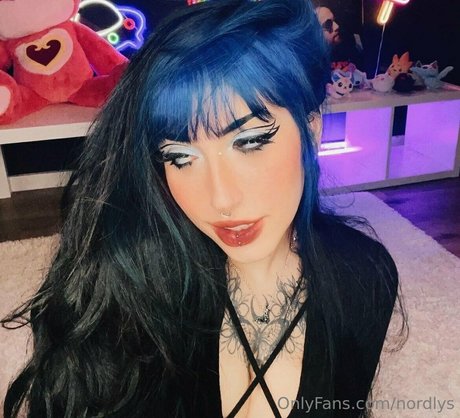 nordlys freie schöne galerie