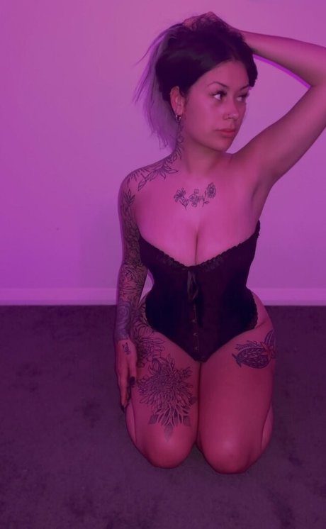 elmo 2301 exklusive kostenlose fotos