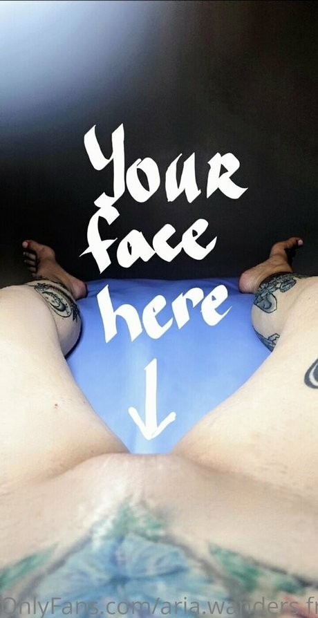 aria wanders free Bilder