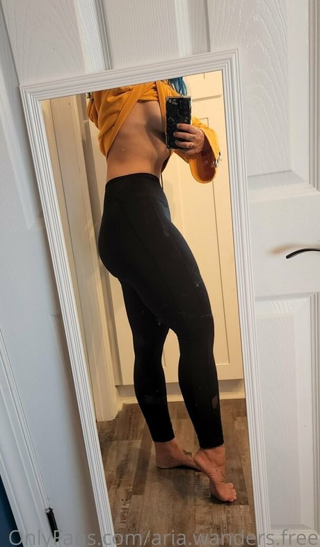 aria wanders free beste pornografische bild