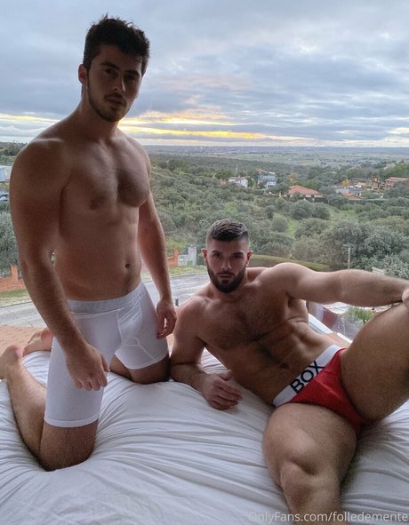 folledemente hübsche galerien