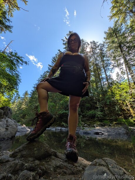 moodymusings perfekte beste fotos