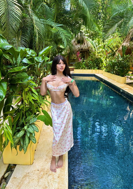 paygeblog hd galerie