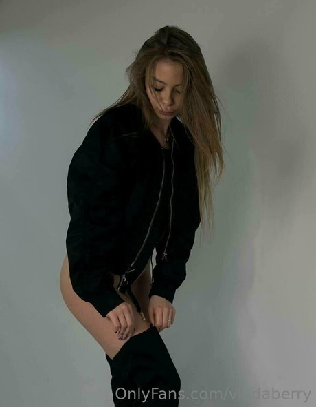 vladaberry kostenlose perfekte archiv