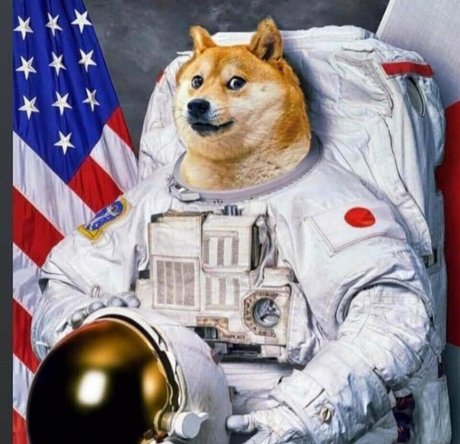 freemadbadvoodoo hübsche perfekte bilder