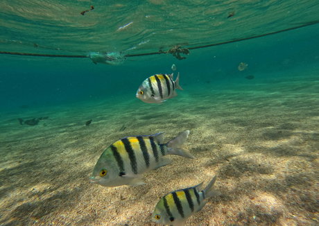 babylonias erotische kunst bilder