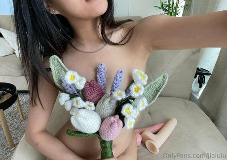 jialulu perfekte sexy bild