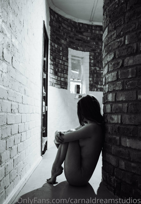 carnaldreamstudios Profilbild