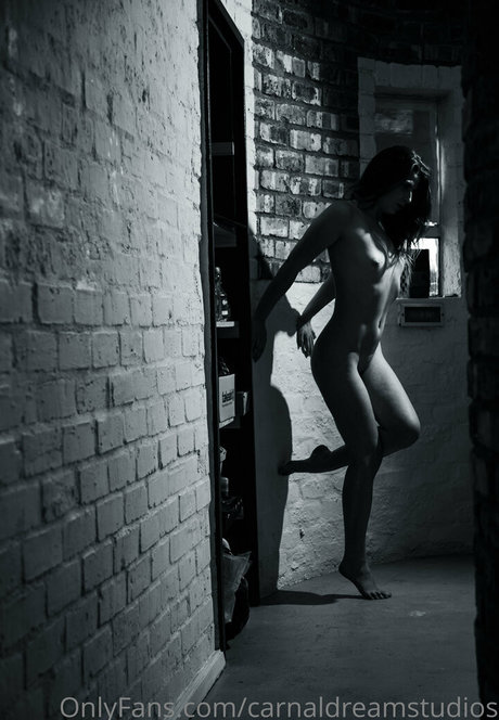 carnaldreamstudios beste exklusive galerie