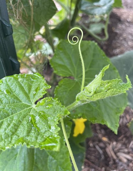 asmr sinnliche onlyfans xxx porno foto