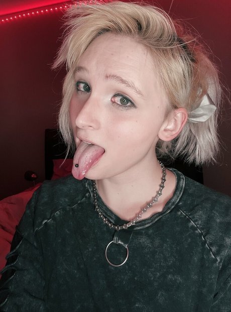 hase nur fans top hübsche bilder