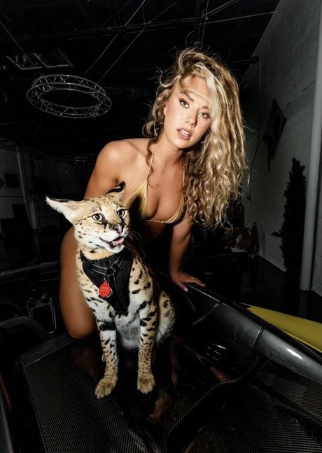 madisonbrock pornostar kostenlose galerien