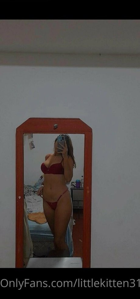 littlekitten31 top kunst bild