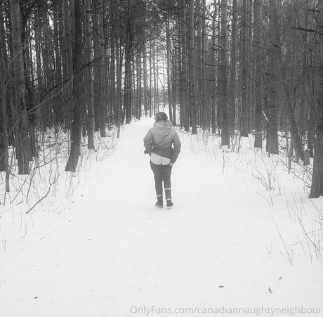 canadiannaughtyneighbour kunst xxx galerie