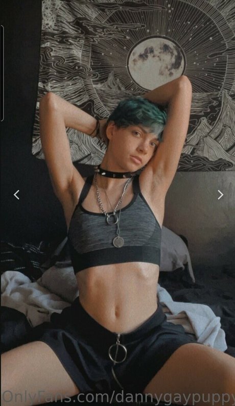 Dannygaypuppy exklusive beste foto