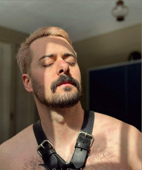 thenorthmen pornostar beste bild