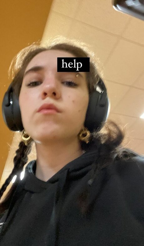 großer schwanz nur fans hd freie archiv