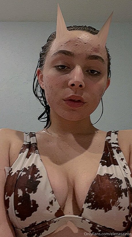 elenasainte beste top bilder