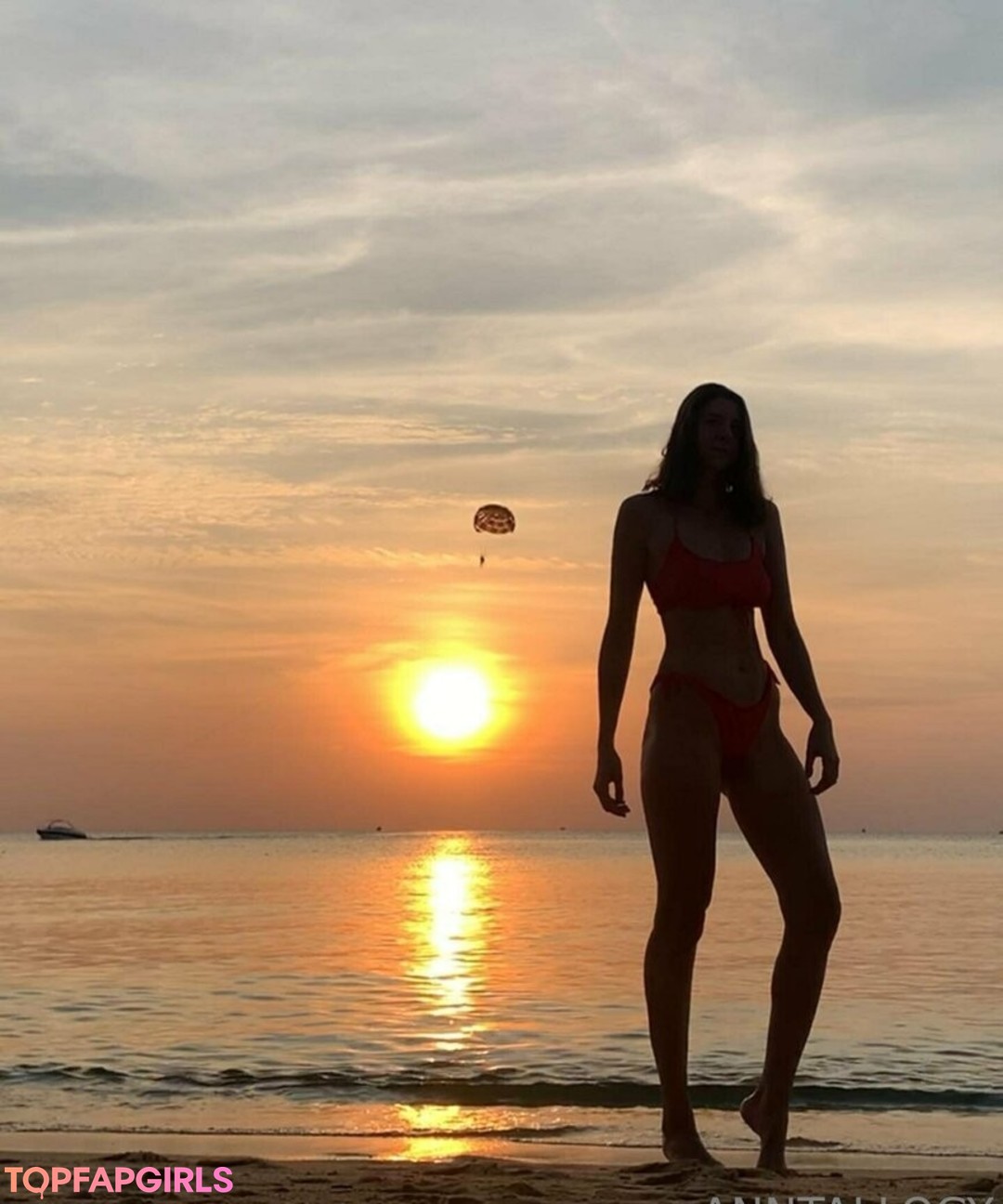 anntallogy exklusive schöne galerie