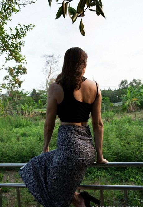 anntallogy perfekte nette bilder