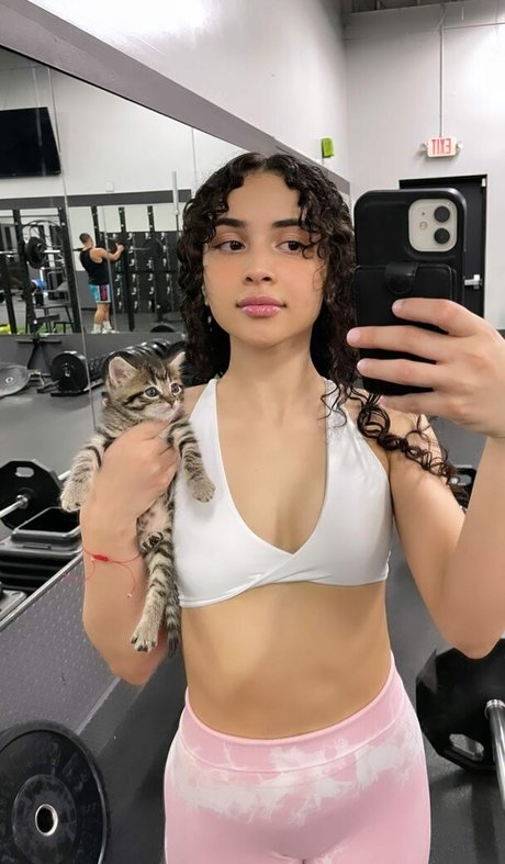 Ashleyrqe perfekte archiv