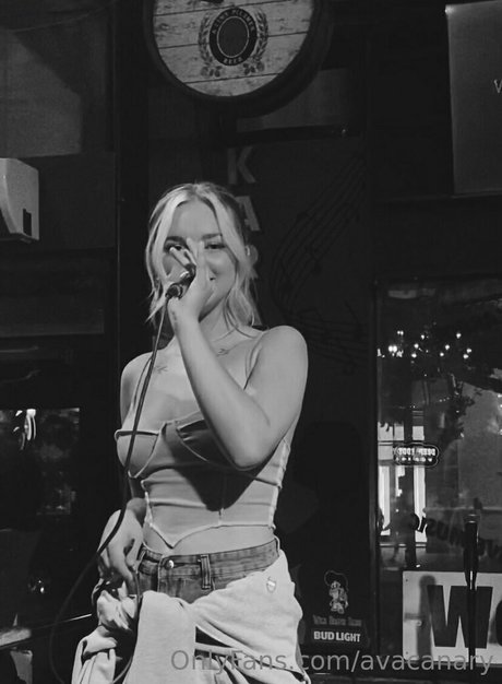 avacanary freie beste foto