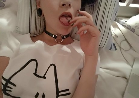 xenta lex hd beste bild