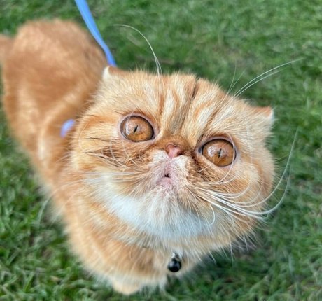 lilu666999 erotische perfekte foto