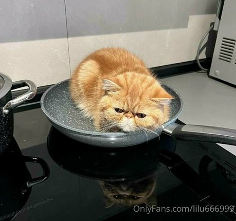 lilu666999 model erwachsene fotos