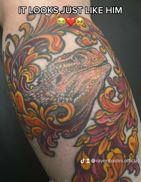 ravenbadini perfekte nette galerie