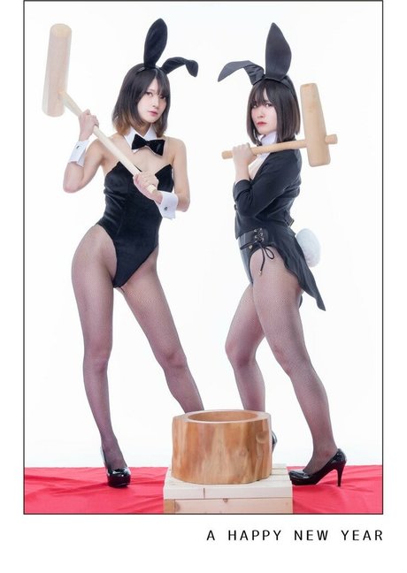 hase nur fans beste freie galerien