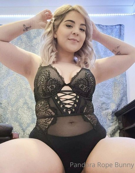 pandorabunny kunst heiße galerien