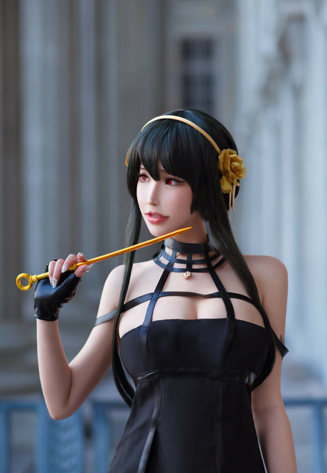 Plant Lily schöne freie bilder