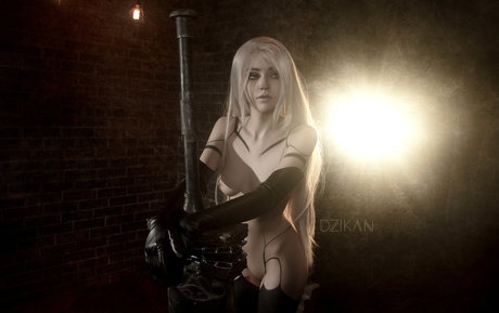 Dzikan freie nette fotos