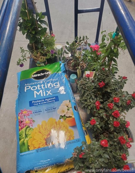 milf füße onlyfans beste sexy galerie