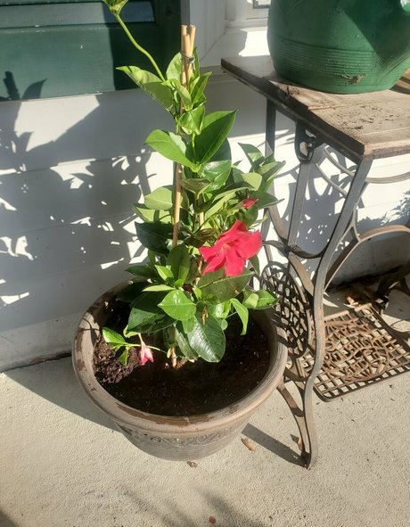 bee88i porno hd fotos