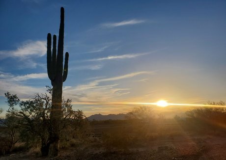 bee88i heiße sexy galerie