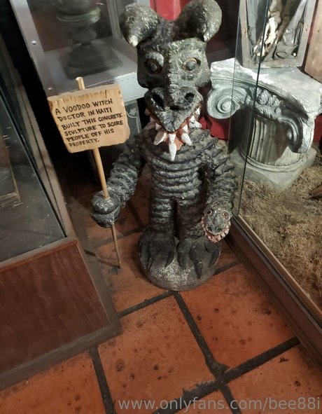 bee88i heiße nackten fotos