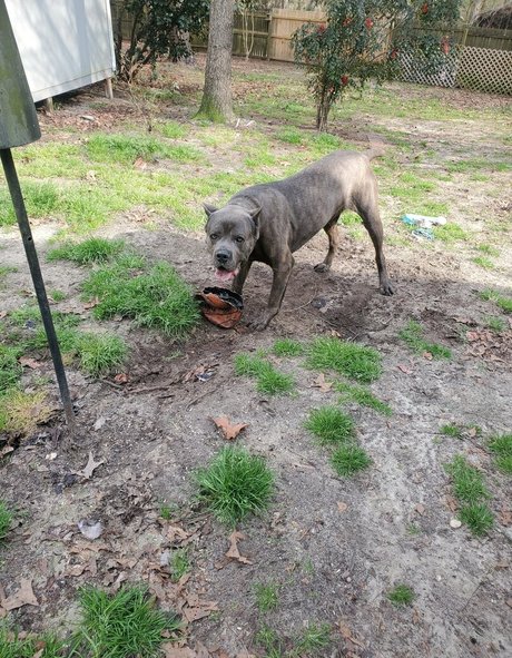 bee88i nacktheit xxx foto