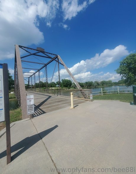 bee88i freie nette bild