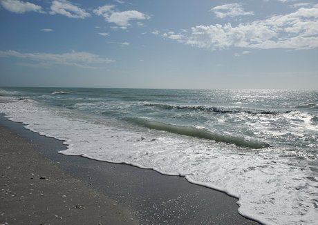 bee88i kostenlose hübsche archiv