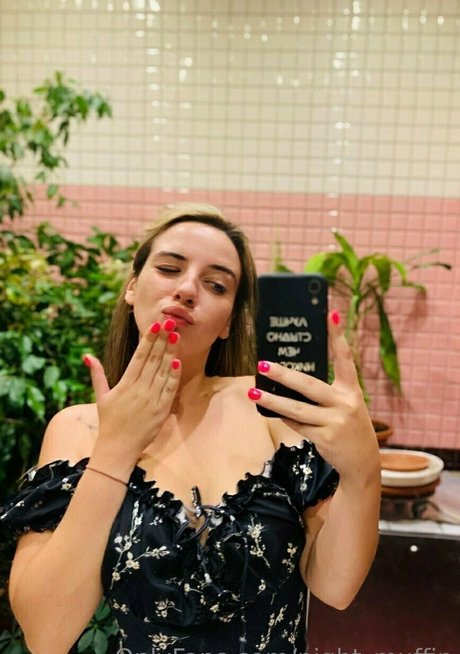 night muffin perfekte foto