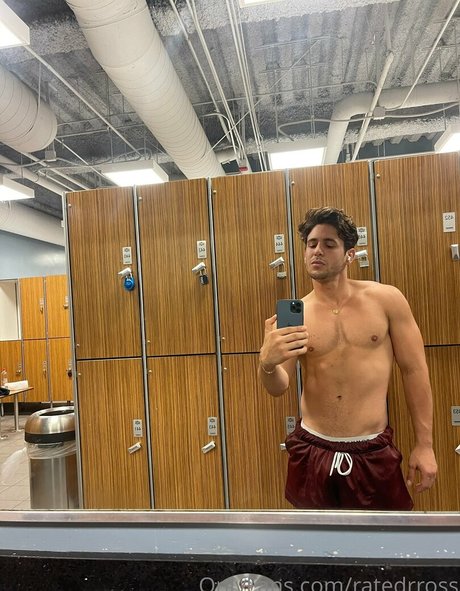 ratedrross kunst schöne archiv