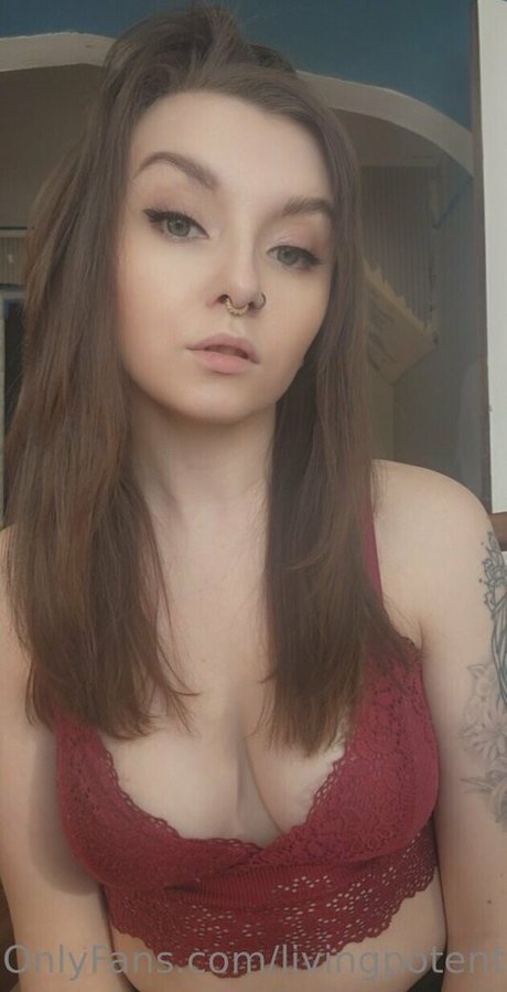 livingpotential exklusive nette fotos