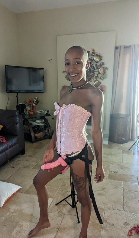 christianmartin kostenlose schöne foto