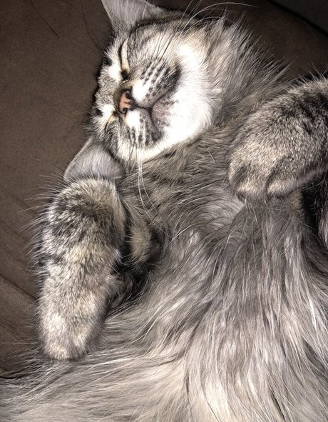 ericalauren hd xxx bild