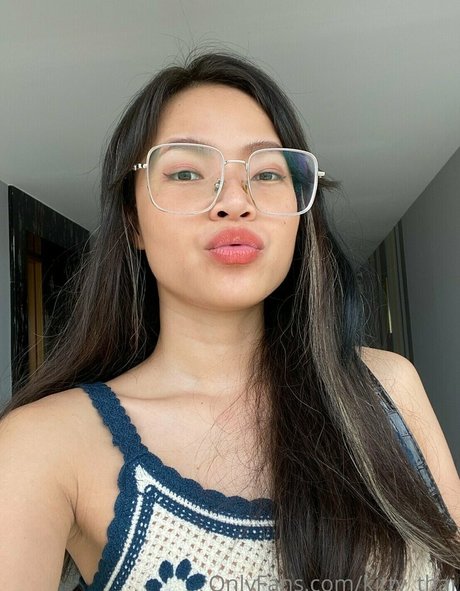 kittysphinxvipasian hübsche hd bilder