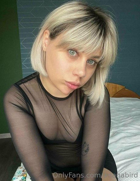 arianabird beste nackte bilder