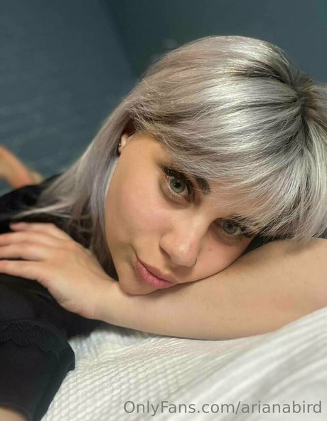 arianabird hd freie galerie