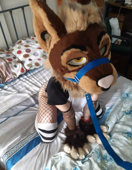 neflynxad top xxx fotos